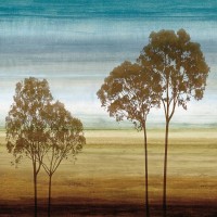 Chris Donovan - Repose II