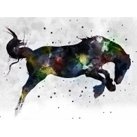 Chamira Young - Horse Attitude