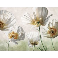 Eva Barberini - Raggi di sole