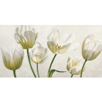 Eva Barberini - Soffio di luce