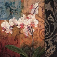 Jill Deveraux - Opulent I