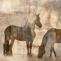 Jason Mann - Equine II