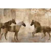 Jason Mann - Horse Sense