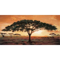 Madou - Memories of Masai Mara