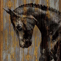 Martin Rose - Horse I
