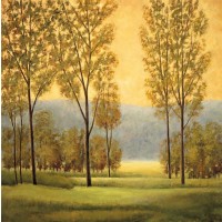 Chris Donovan - Misty Morning I