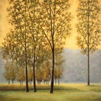 Chris Donovan - Misty Morning II