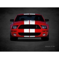 Mark Rogan - Ford Shelby GT500