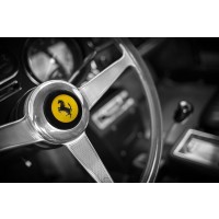 Mark Rogan - 1967 FERRARI 275 GTB-4