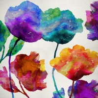 Stephen Darbshire - Flower Power I  