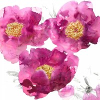 Vanessa Austin - Pink Bloom II