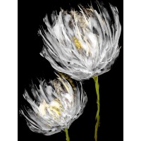 Vanessa Austin - Tulips on Black II