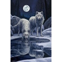 Lisa Parker - Warriors of Winter