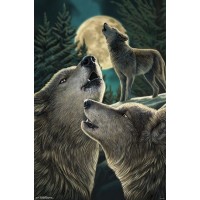 Lisa Parker - Wolf Song
