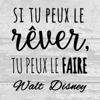 Si tu peux le rêver