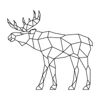 Minimal Moose