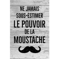 Moustache - ne jamais sous-estimer