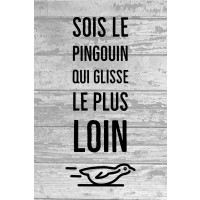 Pingouin - glisse le plus loin