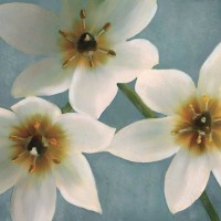 Janel Pahl - Lily Parfait I