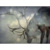 Keri Bevan - If On a Winters Night