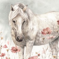 Lisa Audit - Wild Horses V