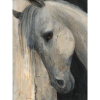 Albena Hristova - Beauty