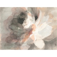 Danhui Nai - Abstract Peony