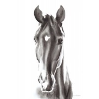 Aimee Del Valle - Le Cheval Noir