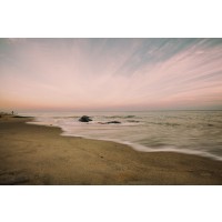 Pela Studio - Beach Rays