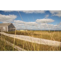 Pela Studio - The Cottage