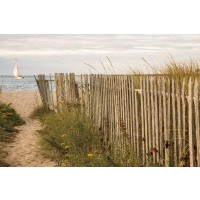 Pela Studio - Along the Fence II