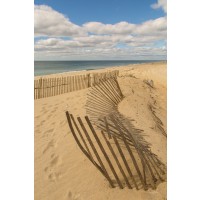Pela Studio - Beach Dunes II