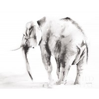 Aimee Del Valle - Lone Elephant Gray Crop