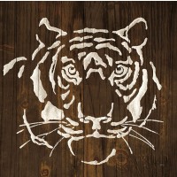 Chris Paschke - White Tiger on Dark Wood