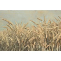 Ben Richard - Gold Harvest