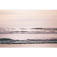 Laura Marshall - Kalaloch Coast II