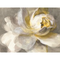 Danhui Nai - Abstract Rose
