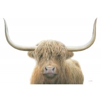 James Wiens - Highland Cow