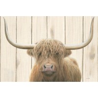 Jamew Wiens - Highland Cow and The Barn